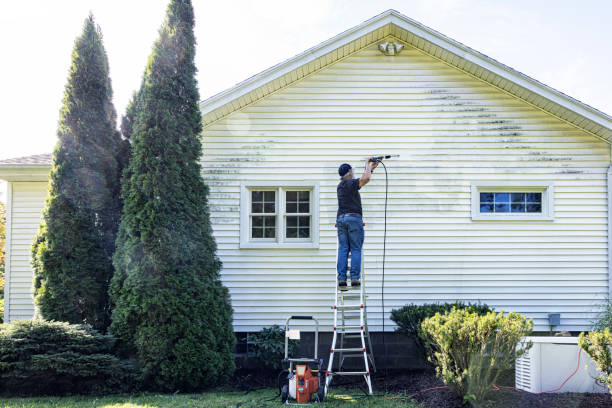 Why Choose Our Certified Pressure Washing Experts for Your Project Needs in Rocky Mount, NC?